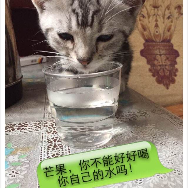 办假的潜水员证